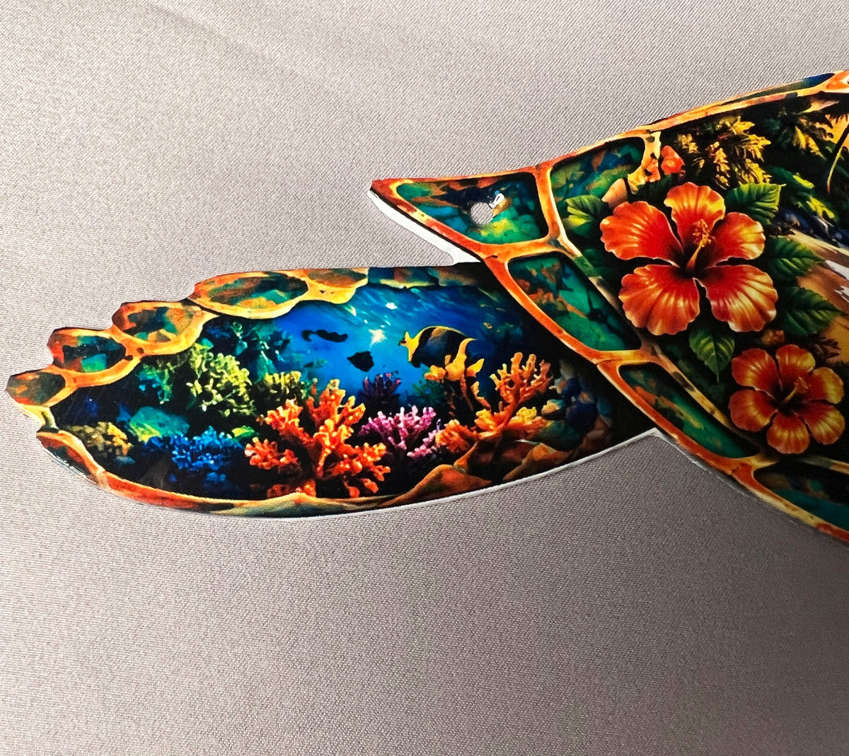 Colorful coral reef on sea turtle flipper