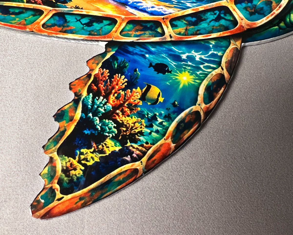 Underwater coral reef on sea turtle flipper